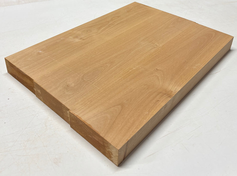 Alder Guitar Body Blank - 21" x 15" x 1-3/4", 10 Lbs (3 Pcs Glued) #502
