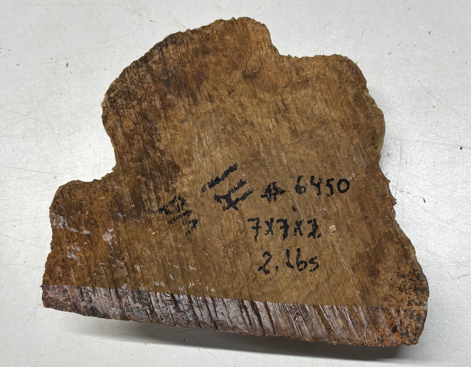 Brown Mallee Burl Cap 7" x 7" x 2" 2 Lbs #6450