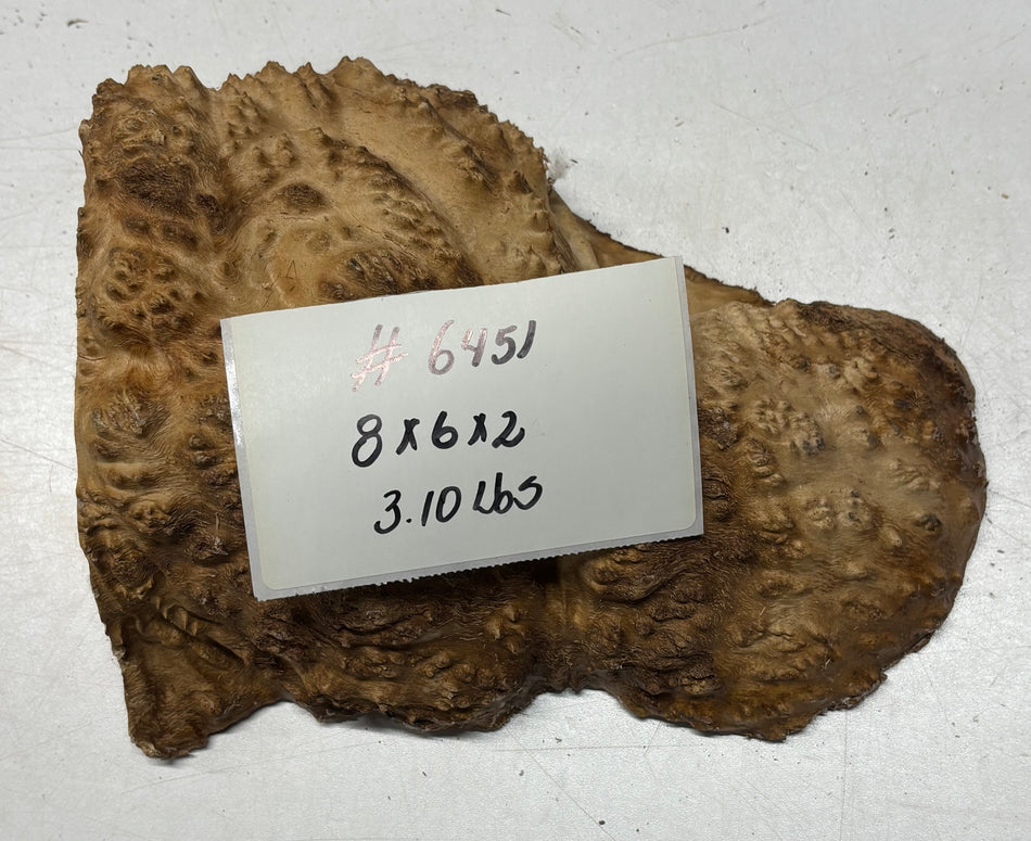 Brown Mallee Burl Cap 8" x 6" x 2" 3.10 Lbs #6451