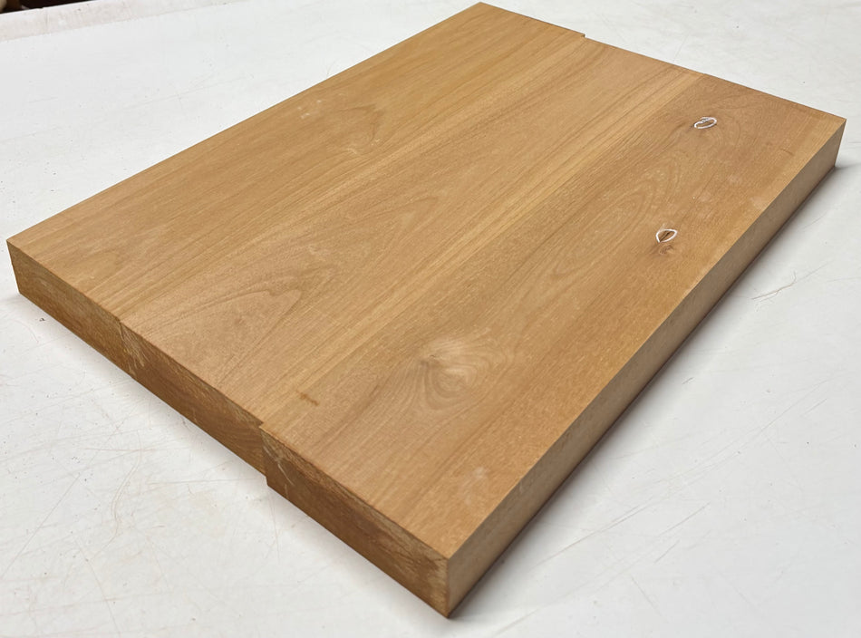 Alder Guitar Body Blank - 21" x 15" x 1-3/4", 10 Lbs (3 Pcs Glued) #504