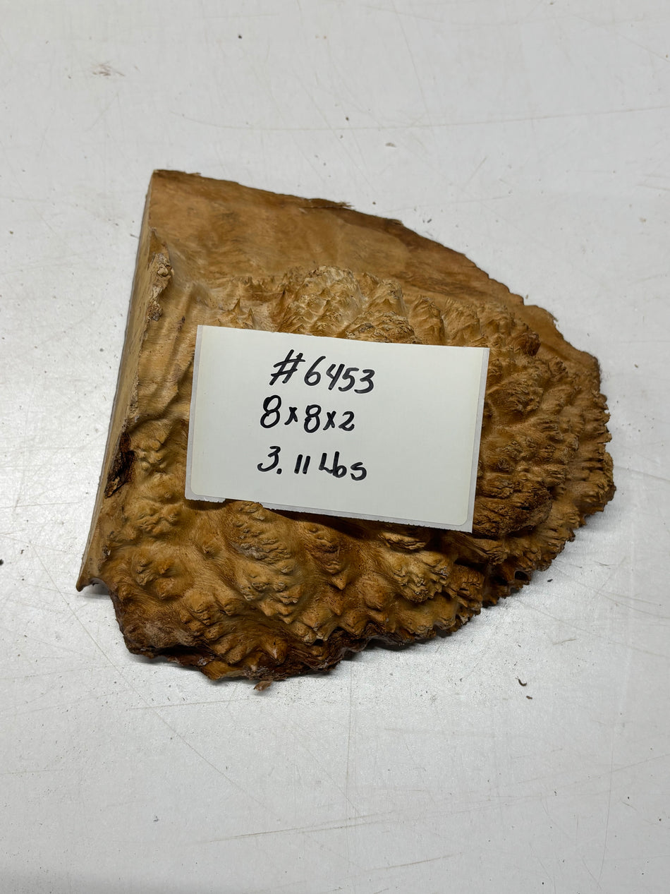 Brown Mallee Burl Cap 8" x 8" x 2" 3.11 Lbs #6453