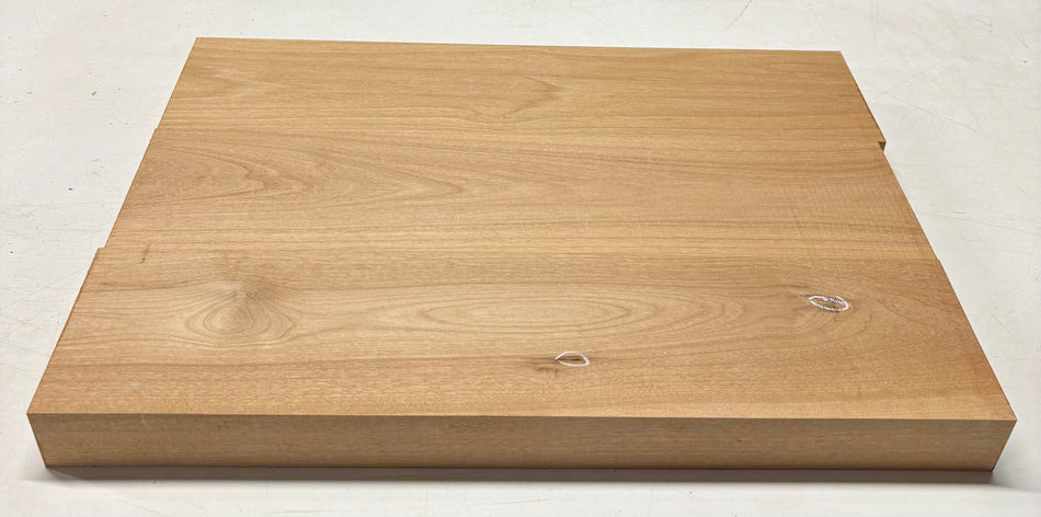 Alder Guitar Body Blank - 21" x 15" x 1-3/4", 10 Lbs (3 Pcs Glued) #504
