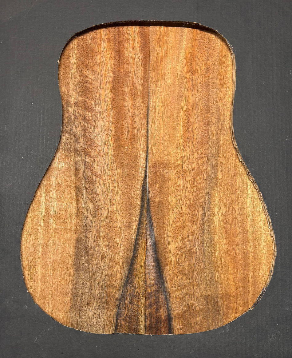 Juego de fondo y aros de guitarra de grado AAAA Dreadnought de palisandro de la India Oriental #61 