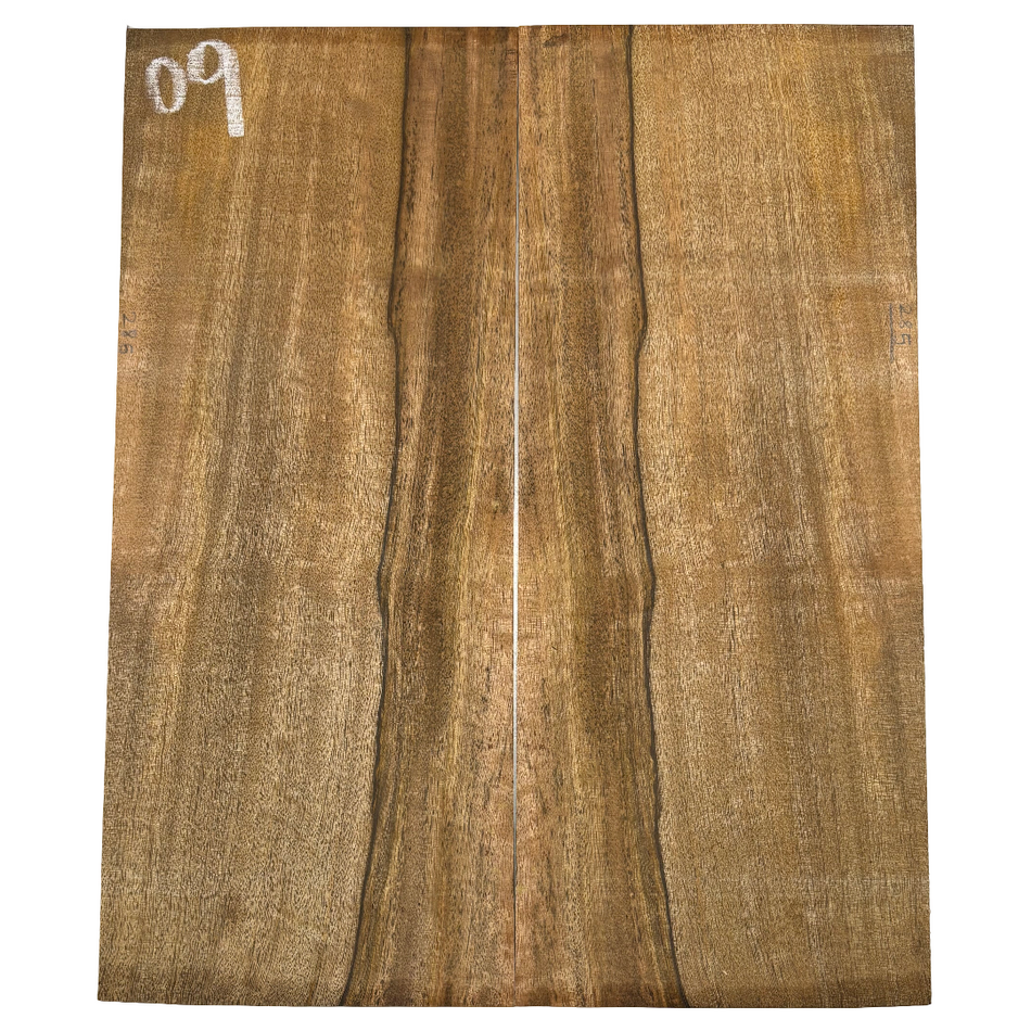 Juego de fondo y aros de guitarra de grado AAAA Dreadnought de palisandro de la India Oriental #61 