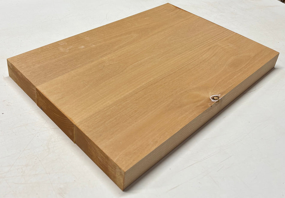 Alder Guitar Body Blank - 21" x 14-1/2" x 1-3/4", 10 Lbs (3 Pcs Glued) #506