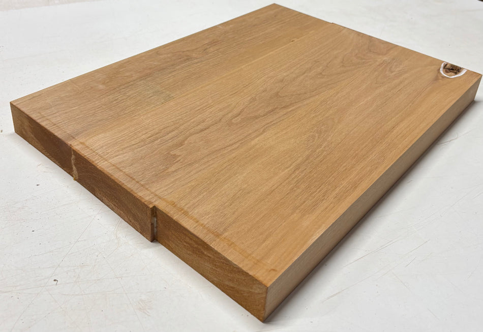Alder Guitar Body Blank - 21" x 16" x 1-3/4", 11 Lbs (3 Pcs Glued) #508