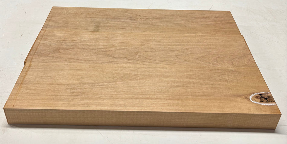 Alder Guitar Body Blank - 21" x 16" x 1-3/4", 11 Lbs (3 Pcs Glued) #508