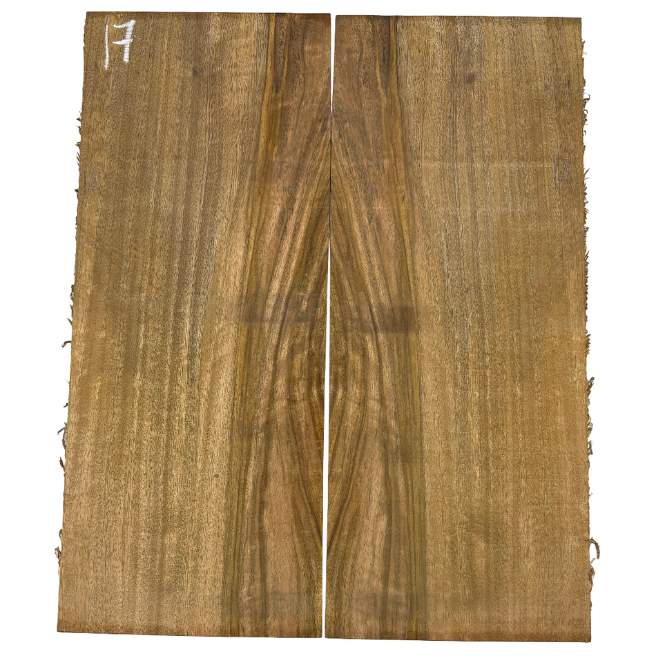 Juego de fondo y aros de guitarra de grado AAAA Dreadnought de palisandro de la India Oriental #61 