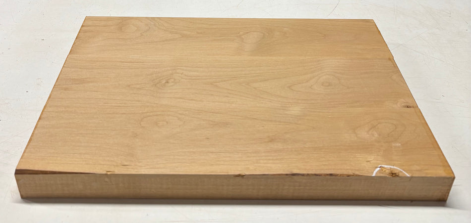 Alder Guitar Body Blank - 21" x 15" x 1-3/4", 10 Lbs (3 Pcs Glued) #511