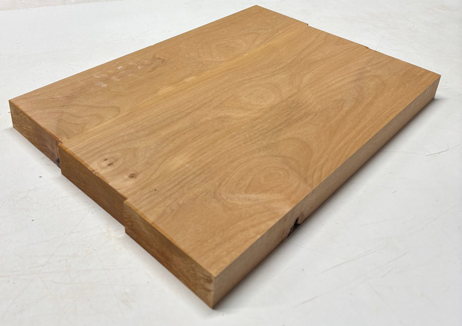 Alder Guitar Body Blank - 21" x 15" x 1-3/4", 10 Lbs (3 Pcs Glued) #512