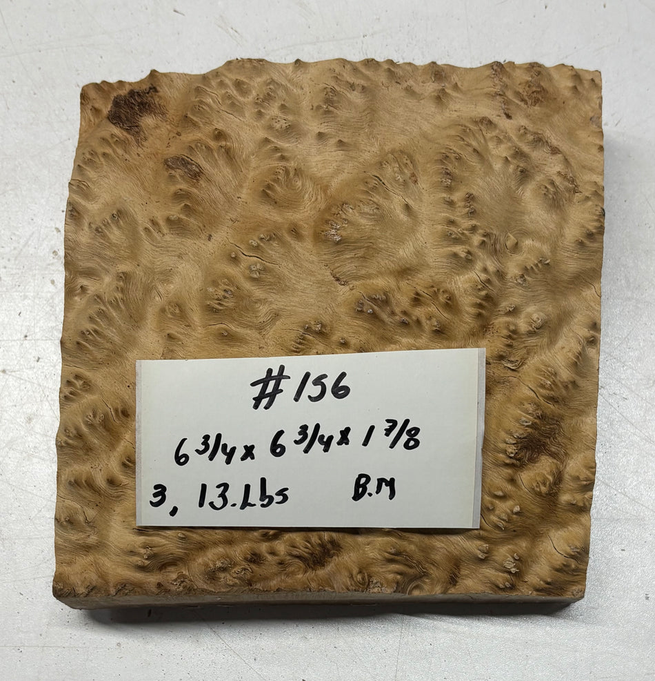Australian Brown Mallee Burl Bowl Blank 6-3/4" x 6-3/4" x 1-7/8"#156