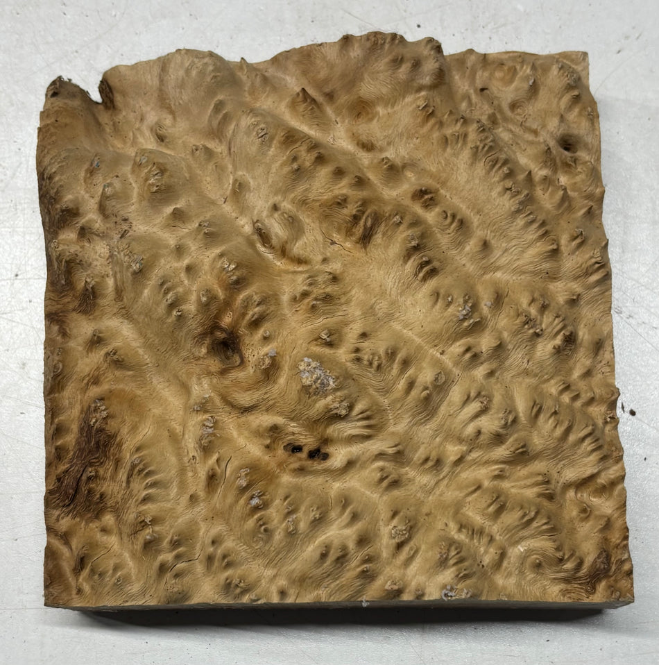 Australian Brown Mallee Burl Bowl Blank 6-3/4" x 6-3/4" x 1-7/8"#157