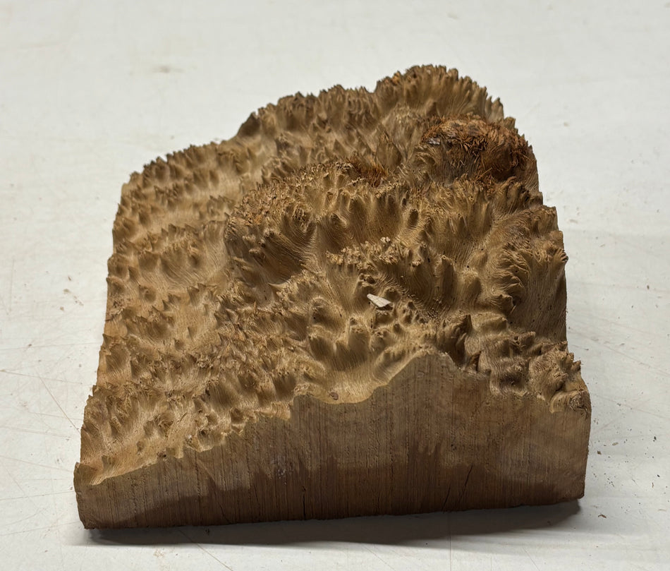 Australian Red Mallee Burl Wood Bowl Blank, 6" x 5-1/2" x 1-1/2" #10