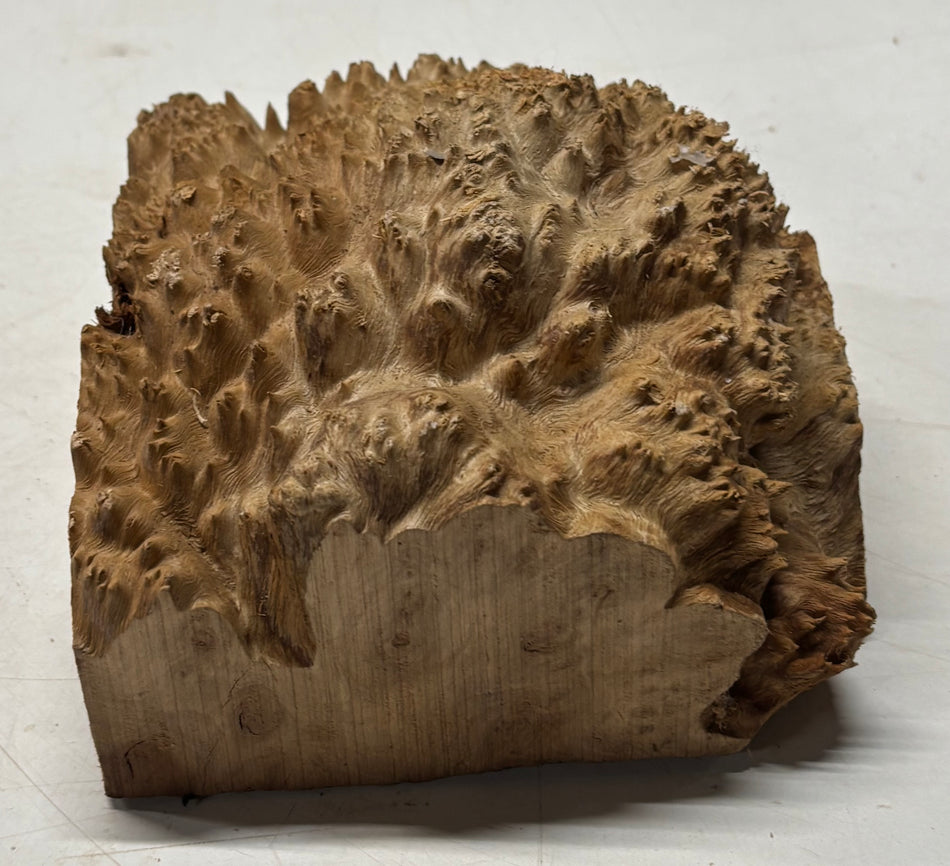 Australian Red Mallee Burl Wood Bowl Blank, 6" x 6" x 3" #11