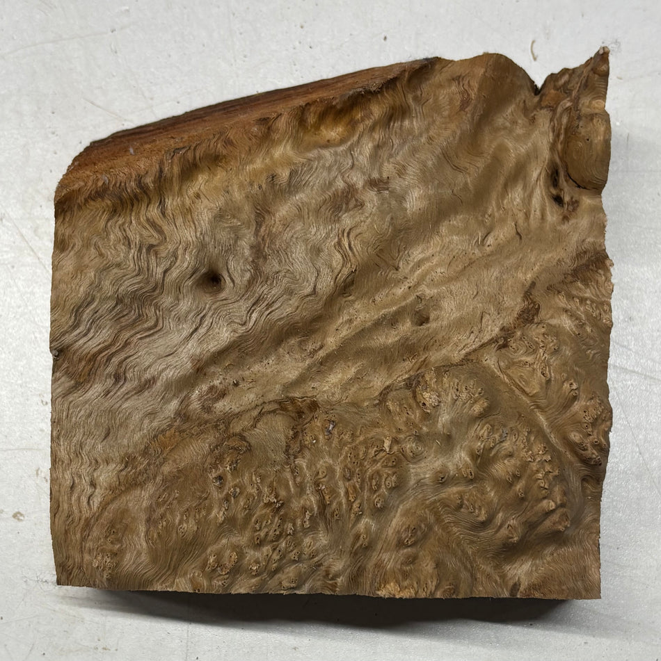 Australian Red Mallee Burl Wood Bowl Blank, 6" x 6" x 3" #12