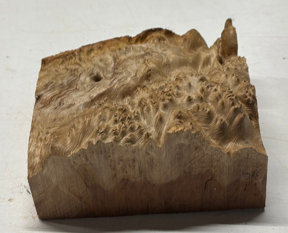Australian Red Mallee Burl Wood Bowl Blank, 6" x 6" x 3" #12