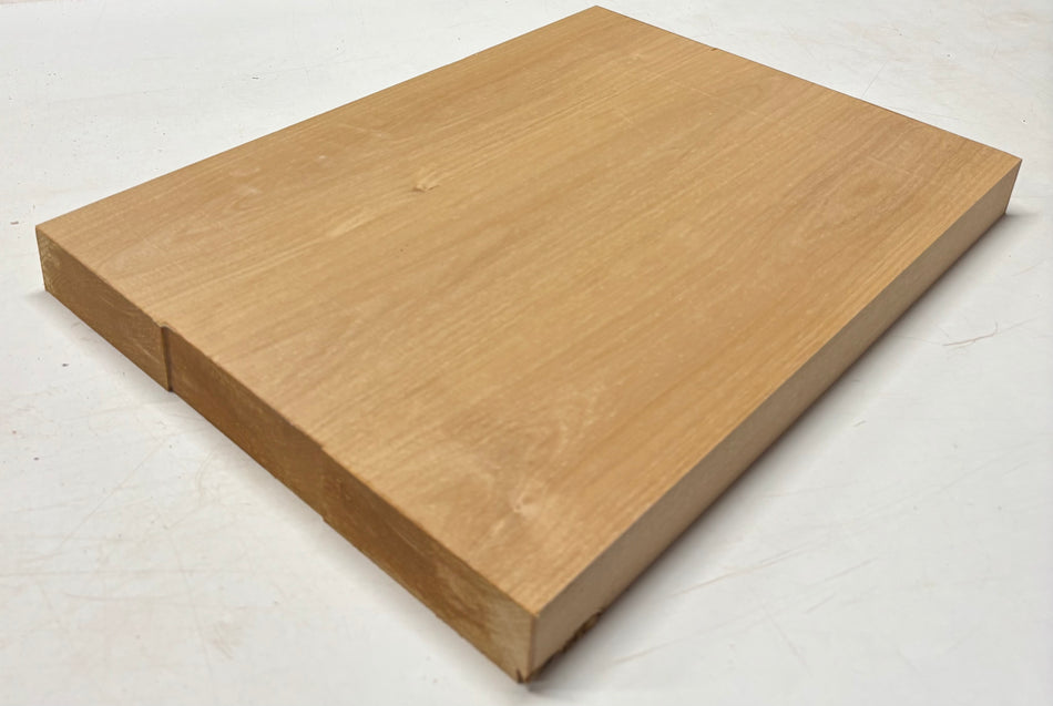 Alder Guitar Body Blank - 21" x 15" x 1-3/4", 10 Lbs (3 Pcs Glued) #518