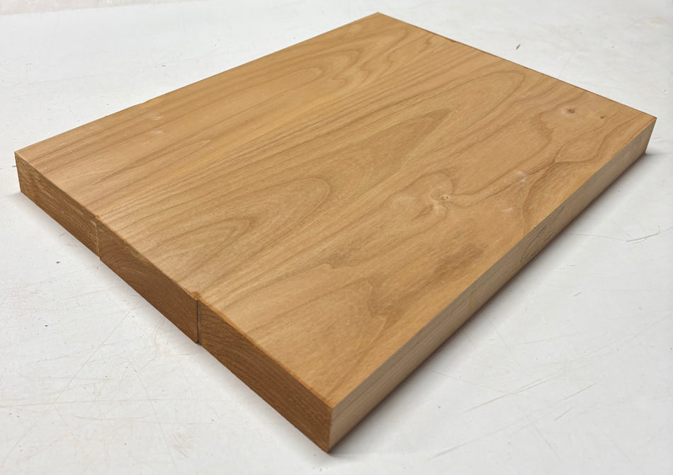 Alder Guitar Body Blank - 21" x 15" x 1-3/4", 10 Lbs (3 Pcs Glued) #519