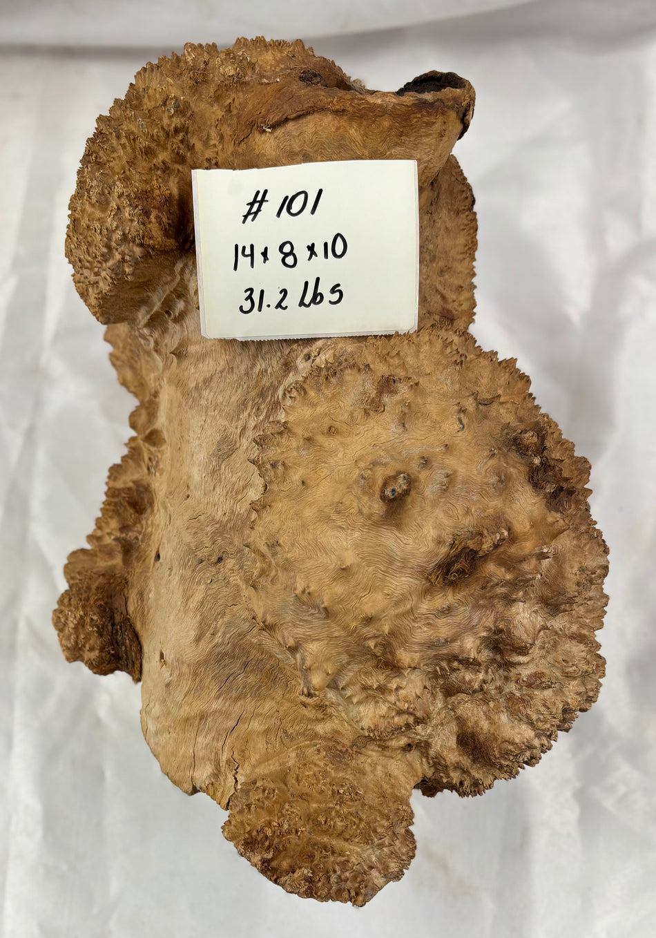 Rare Australian Red Mallee Burl Cap 14" x 8" x 10" #101