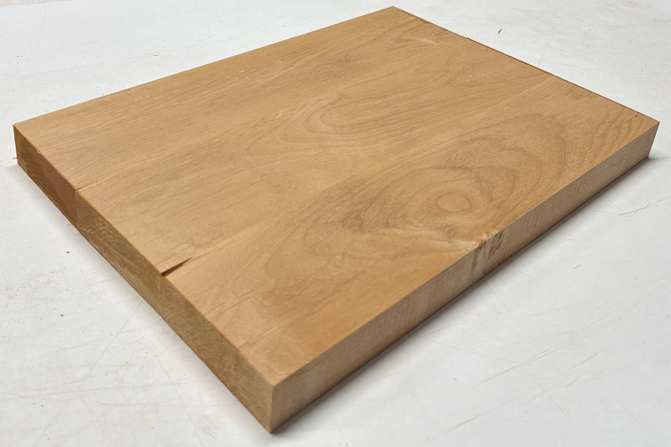 Alder Guitar Body Blank - 21" x 15" x 1-3/4", 10 Lbs (3 Pcs Glued) #521