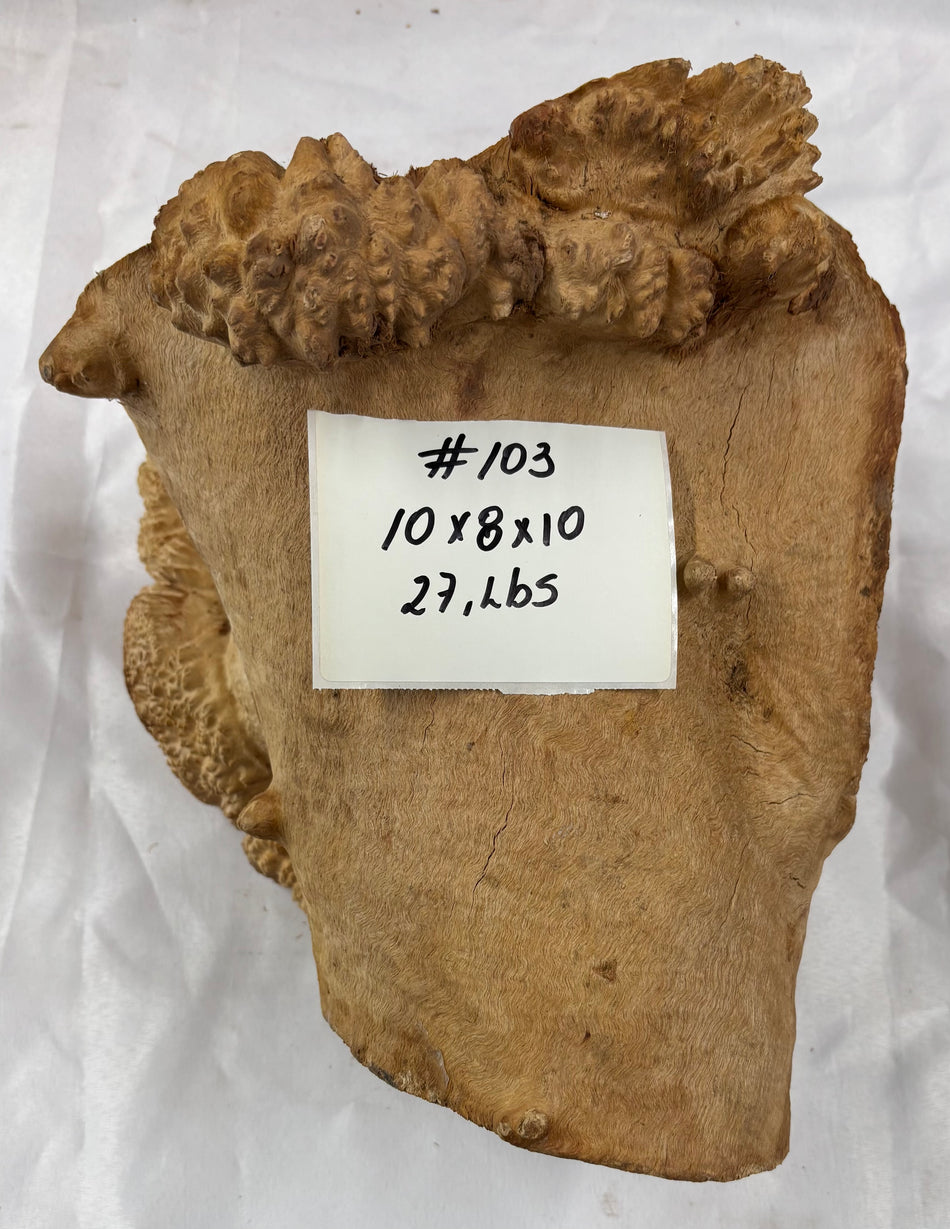 Rare Australian Red Mallee Burl Cap 10" x 8" x 10" #103