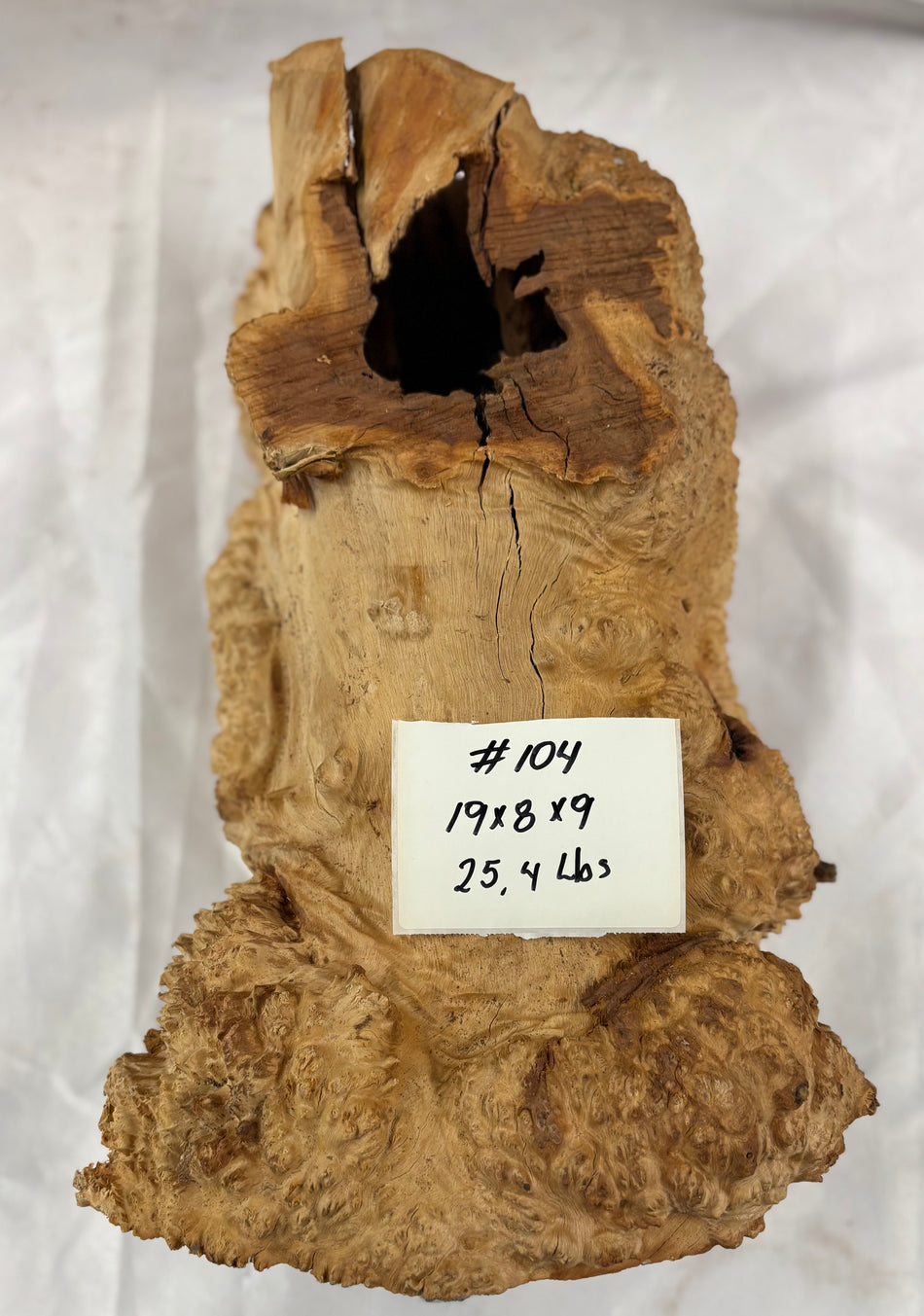 Rare Australian Red Mallee Burl Cap 19" x 8" x 9" #104