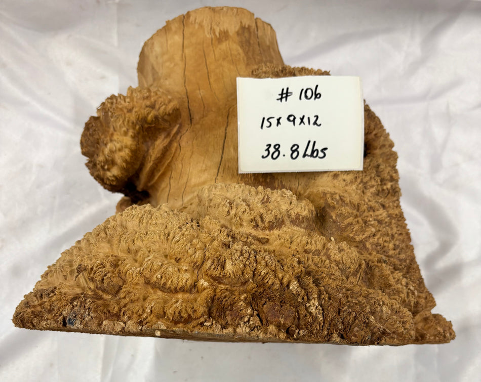 Rare Australian Red Mallee Burl Cap 15" x 9" x 12" #106