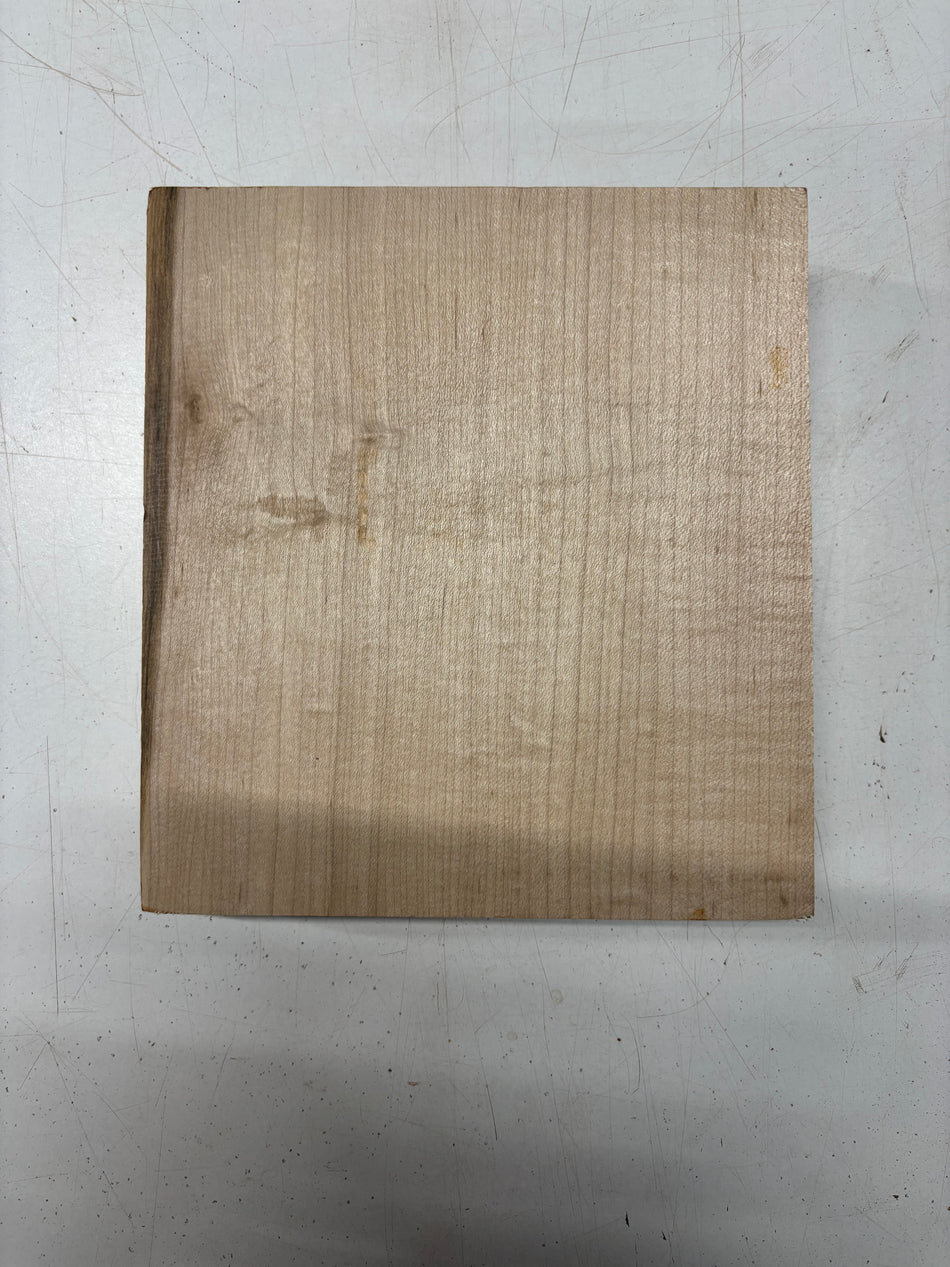 1 Piece, Hard Maple Lumber Board Blank 9"x8-1/2'x1-7/8"#6338
