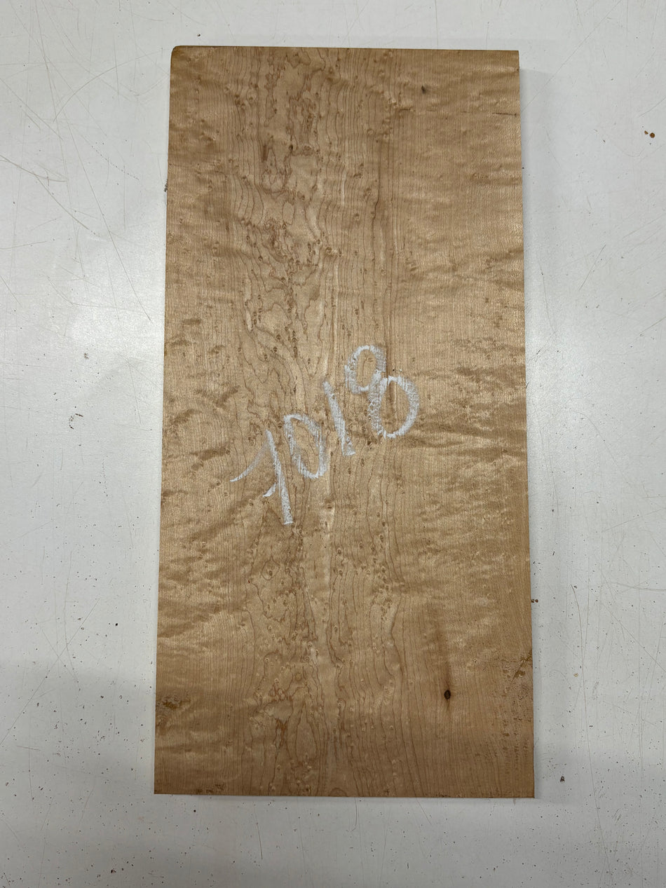 1 Piece, Birdseye Maple Lumber Board Blank  16-1/2"x8"x5/8"#7018