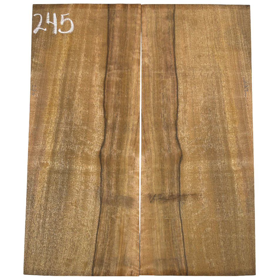 Juego de fondo y aros de guitarra de grado AAAA Dreadnought de palisandro de la India Oriental #61 