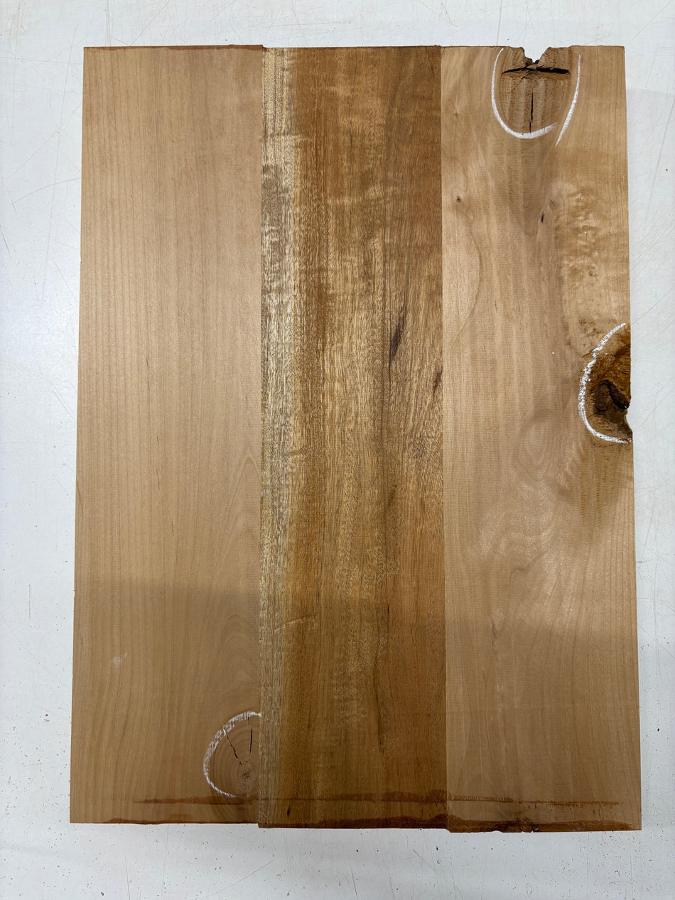 3 Piece Glued, 2 Species  Red Alder + Mahogany Body Blank 21'x15"x1-3/4"  #6364