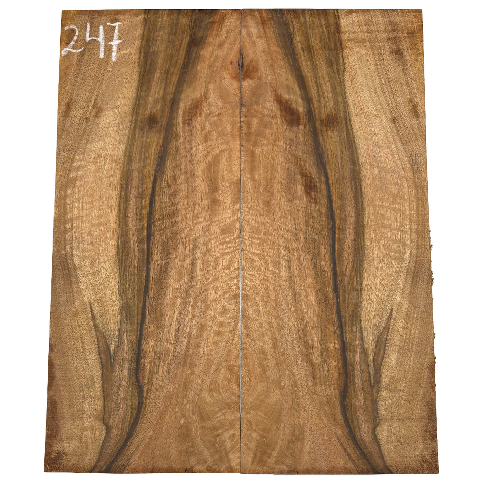 Juego de fondo y aros de guitarra de grado AAAA Dreadnought de palisandro de la India Oriental #61 