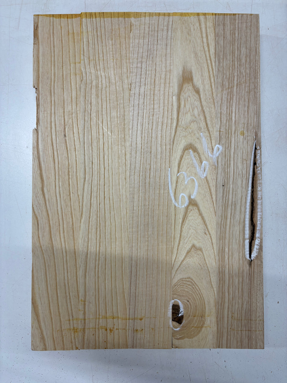 5 Piece Glued, Swamp Ash Body Blanks 21"x14-1/2"x1-7/8"  #6366