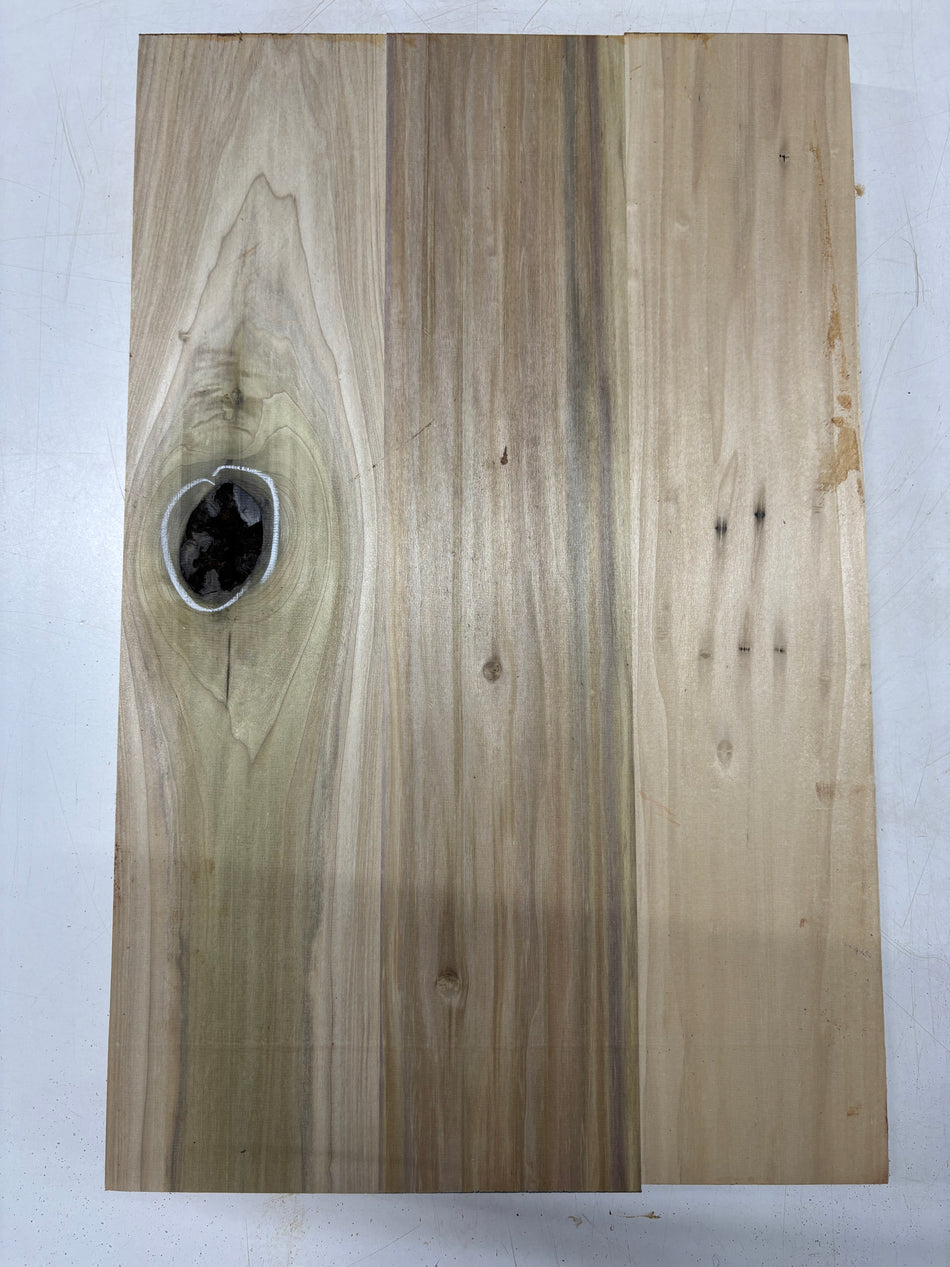 3 Piece Glued, Poplar Explorer Body Blank 28"x18"x1-3/4"   #6369