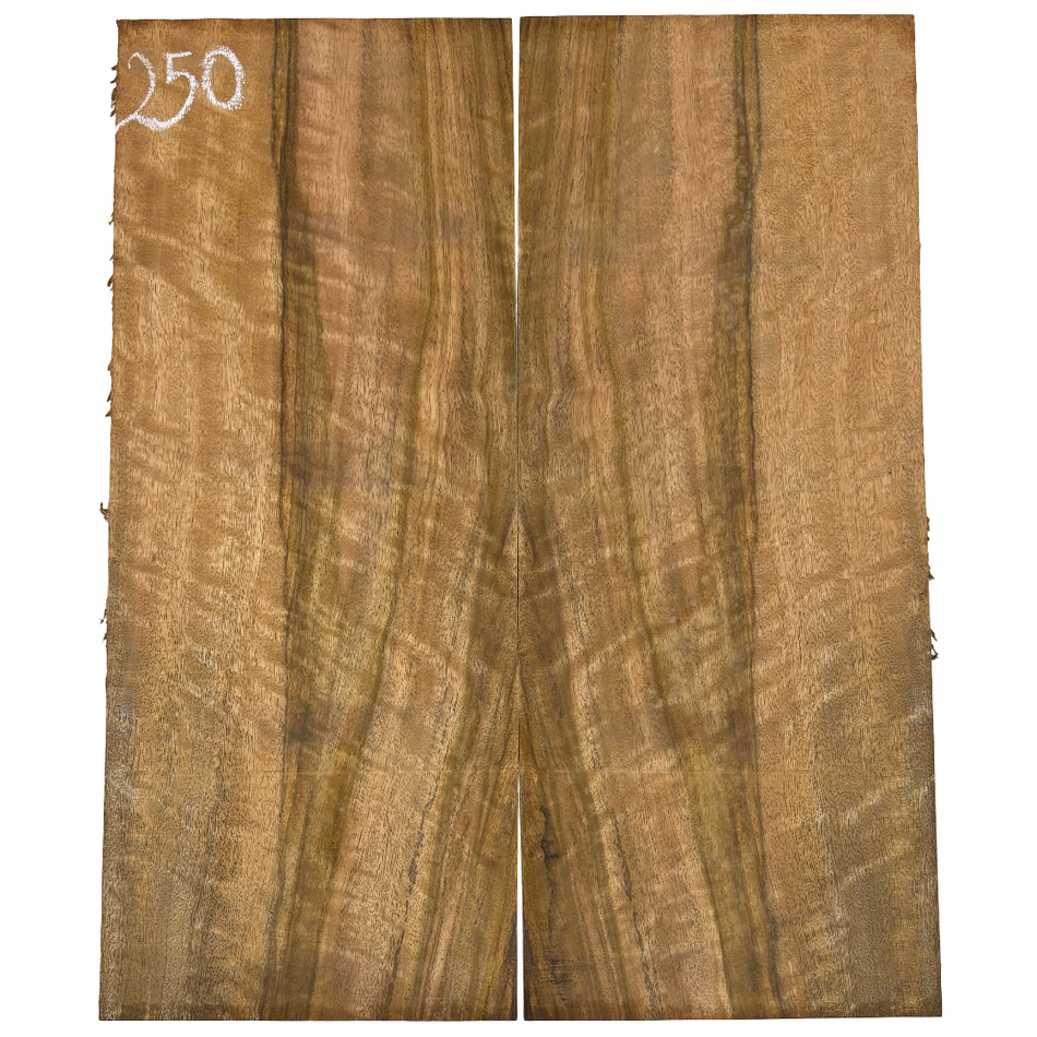 Juego de fondo y aros de guitarra de grado AAAA Dreadnought de palisandro de la India Oriental #61 