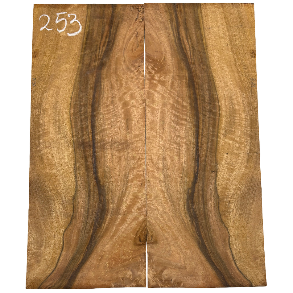 Juego de fondo y aros de guitarra de grado AAAA Dreadnought de palisandro de la India Oriental #61 