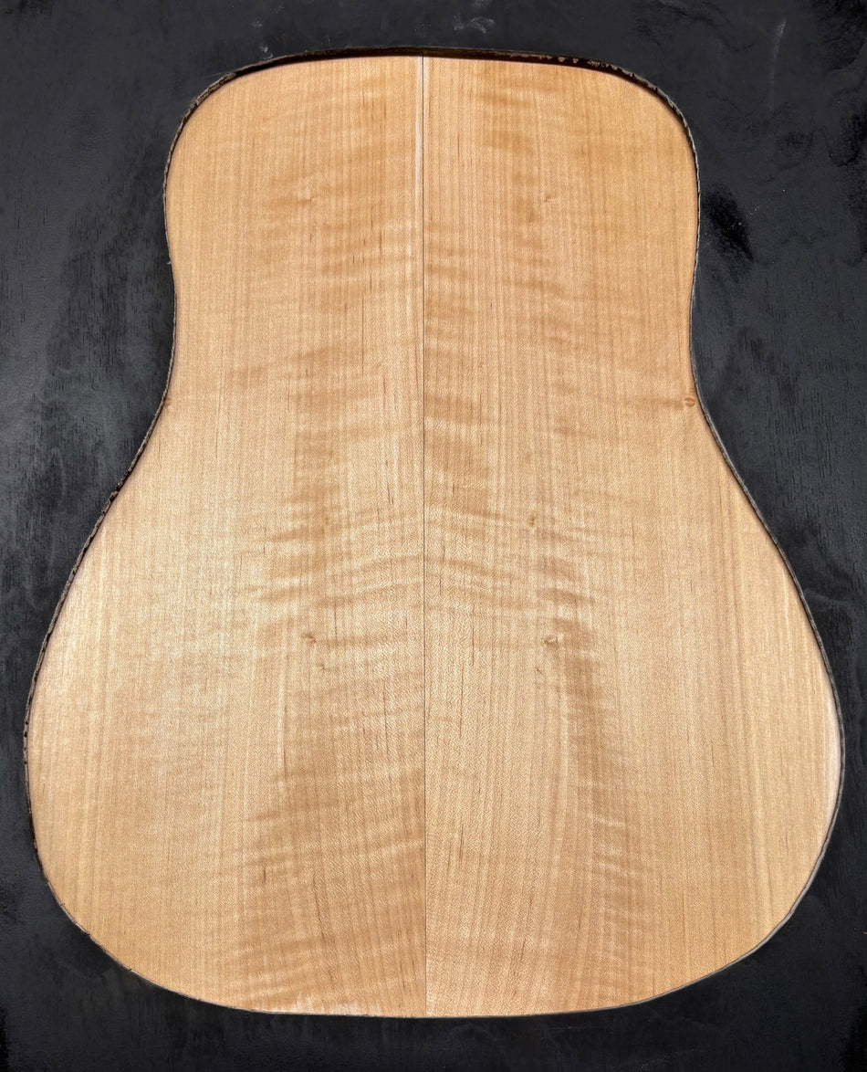 Tapa de arce spalted tostado al fuego, grado AAAA, tallada para guitarra - 20-3/4" x 7-1/2" x 1-1/4" #217