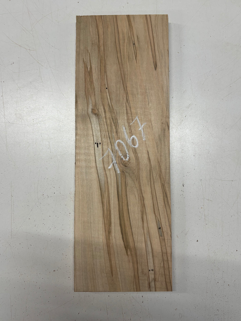1 Piece, Ambrosia Maple Thin Stock Lumber 19"x6-1/2"x3/4"#7067 - Exotic Wood Zone