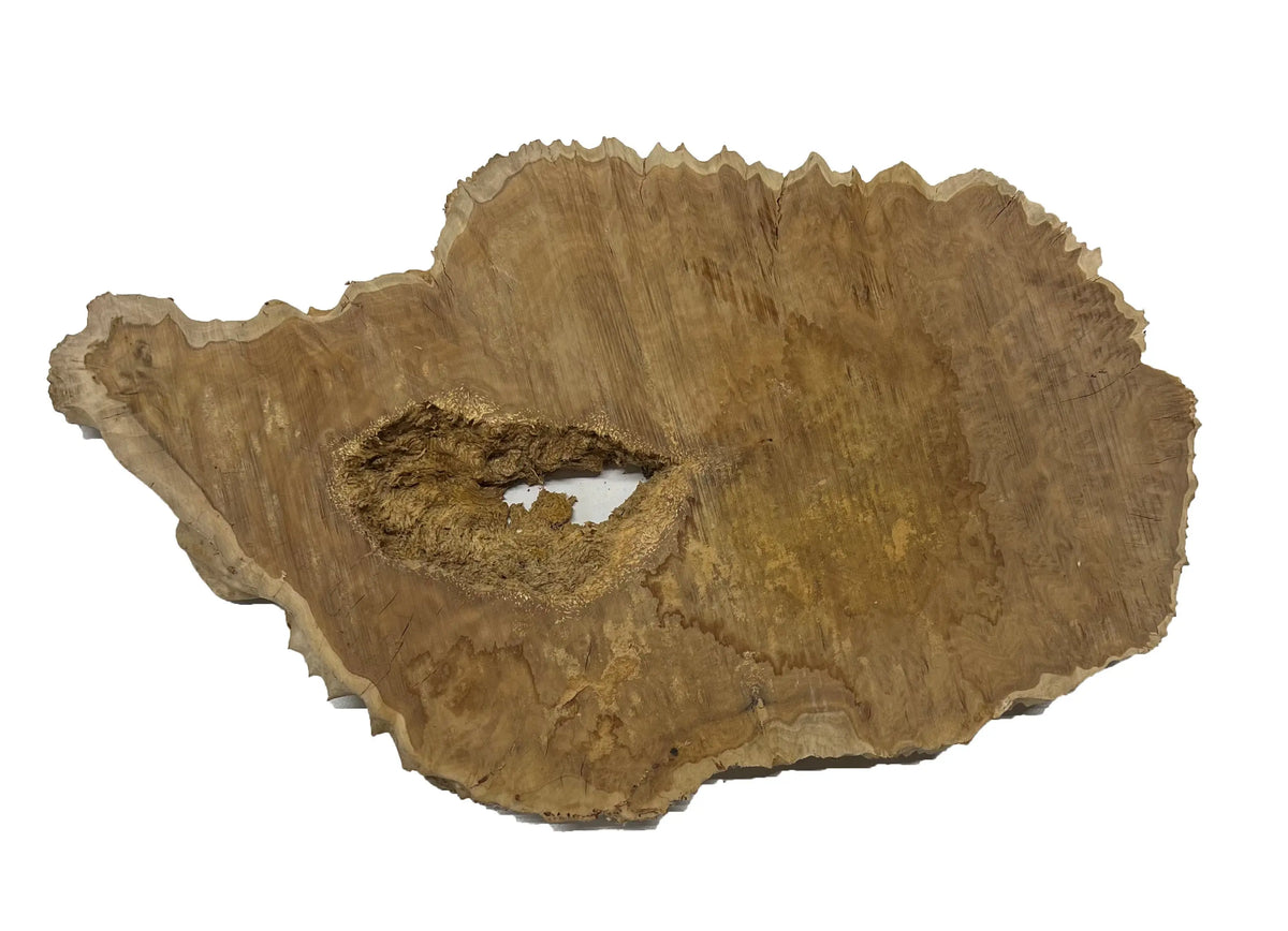 Brown Mallee Burl Cookies | 17" x 9" x 1" | 4.35 lbs | #700 - Exotic Wood Zone - Buy online Across USA 