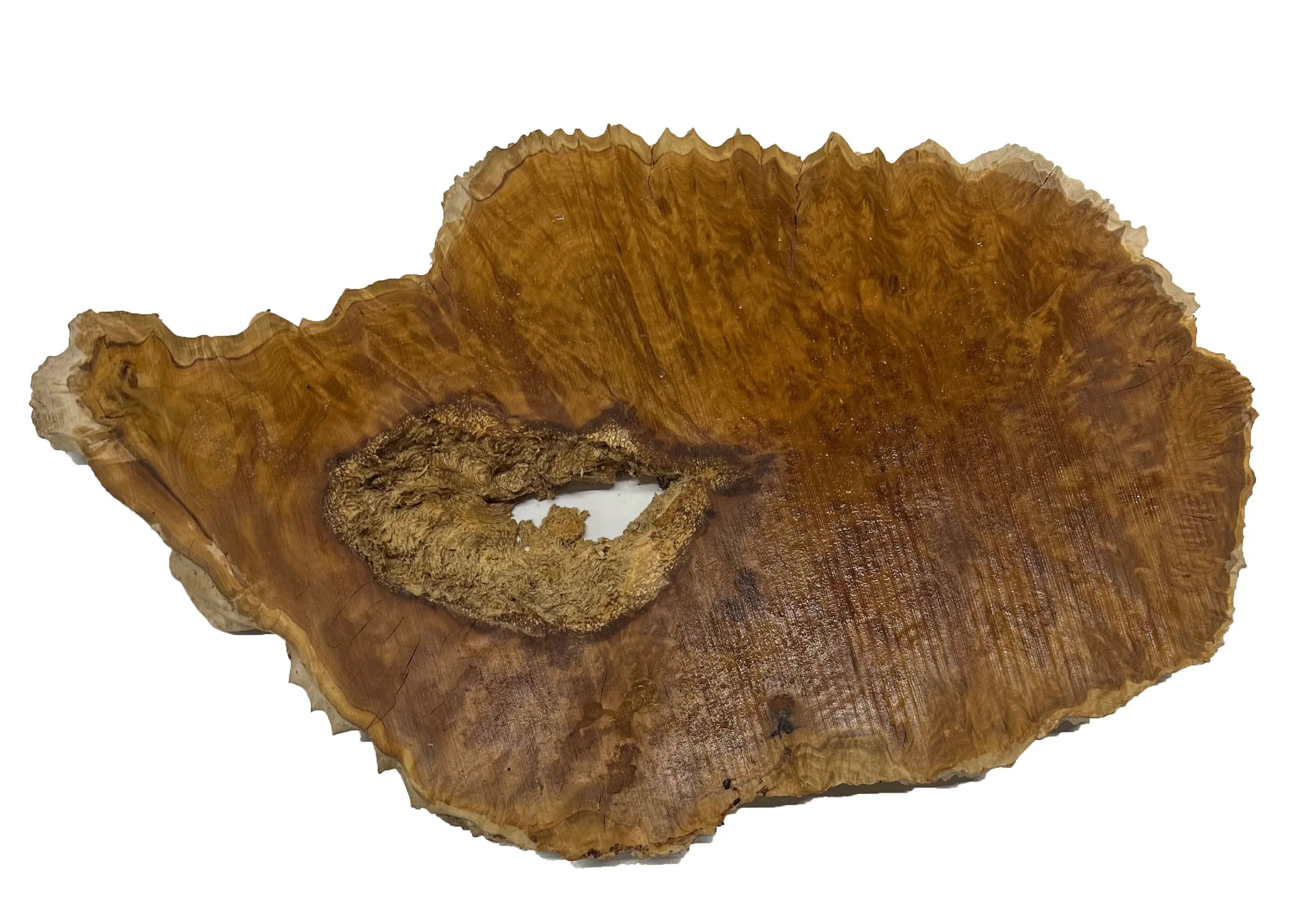 Brown Mallee Burl Cookies | 17" x 9" x 1" | 4.35 lbs | #700 - Exotic Wood Zone - Buy online Across USA 