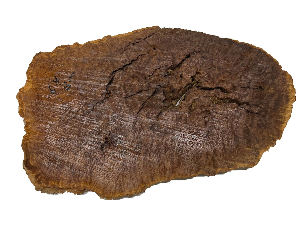 Brown Mallee Burl Cookies | 16" x 9" x 1" | 5.35 lbs | #702 - Exotic Wood Zone - Buy online Across USA 