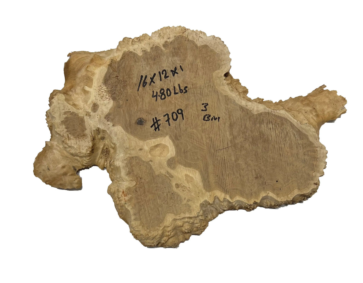 Brown Mallee Burl Cookies | 16" x 12" x 1" | 4.8 lbs | #709 - Exotic Wood Zone - Buy online Across USA 