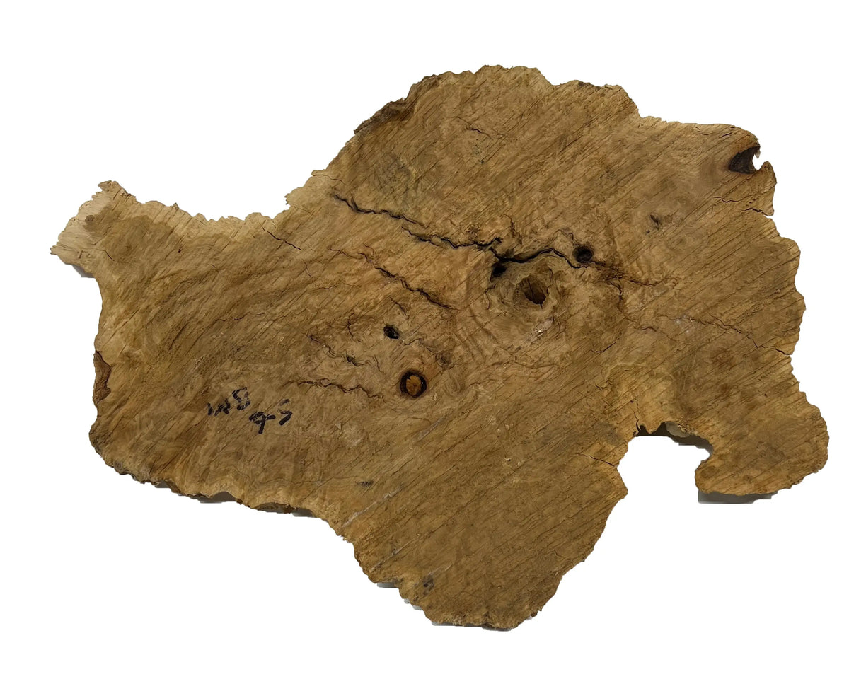 Brown Mallee Burl Cookies | 16" x 12" x 1" | 4.8 lbs | #709 - Exotic Wood Zone - Buy online Across USA 