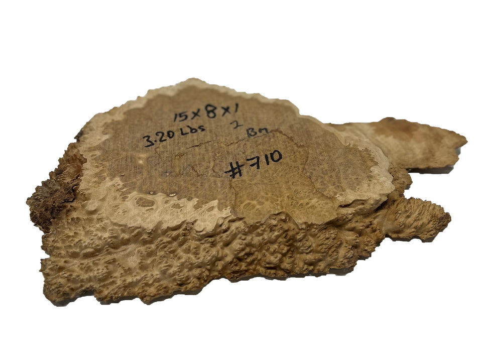 Brown Mallee Burl Cookies | 15" x 8" x 1" | 3.2 lbs | #710 - Exotic Wood Zone - Buy online Across USA 