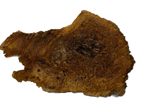 Brown Mallee Burl Cookies | 15" x 8" x 1" | 3.2 lbs | #710 - Exotic Wood Zone - Buy online Across USA 