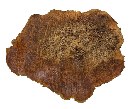 Brown Mallee Burl Cookies | 18" x 14" x 1" | 6.3 lbs | #713 - Exotic Wood Zone - Buy online Across USA 