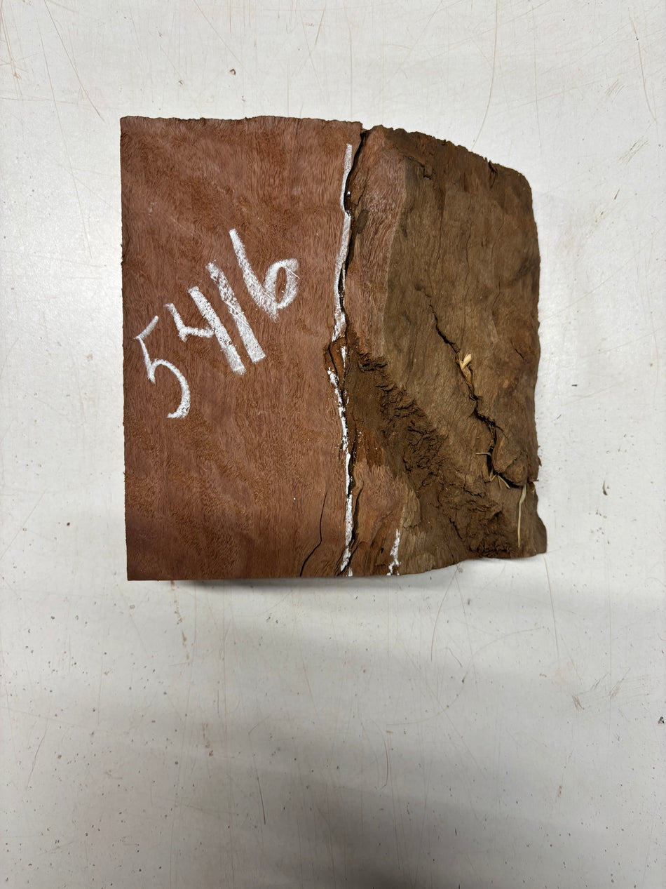 1 Piece, Flame Sydney Red Gum Burl Lumber Board Blank 6-1/2" x 5" x 2" #5416