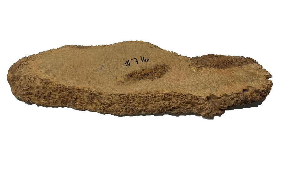 Brown Mallee Burl Cookies | 21" x 8" x 1" | 6.15 lbs | #716 - Exotic Wood Zone - Buy online Across USA 