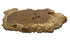 Brown Mallee Burl Cookies | 15" x 7" x 1" | 3.4 lbs | 