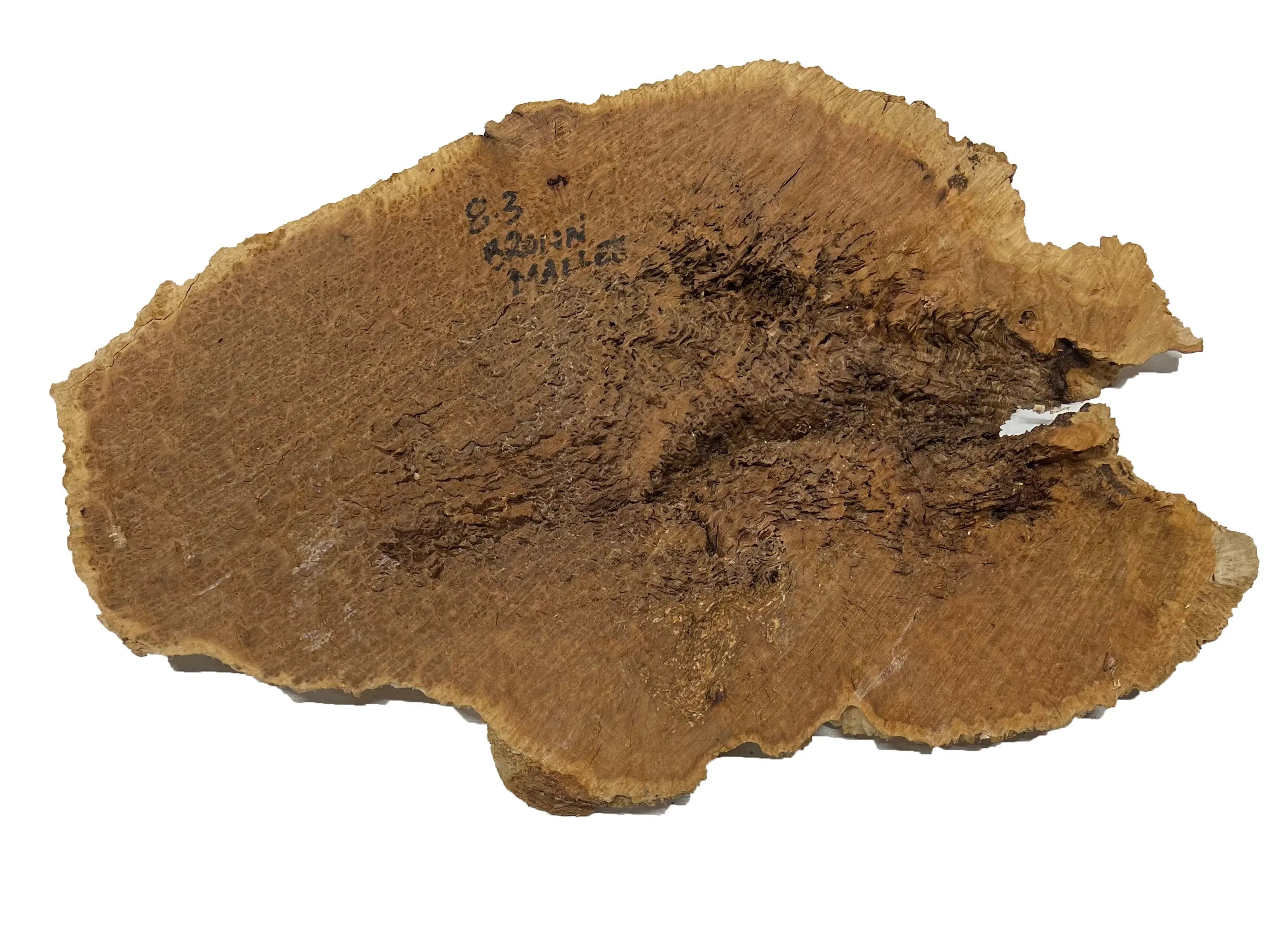 Brown Mallee Burl Cookies | 18" x 11" x 1" | 6.45 lbs | #728 - Exotic Wood Zone - Buy online Across USA 